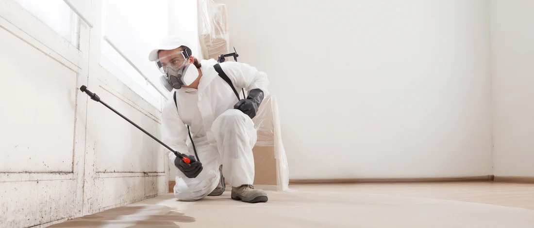 DOT mold cleaning