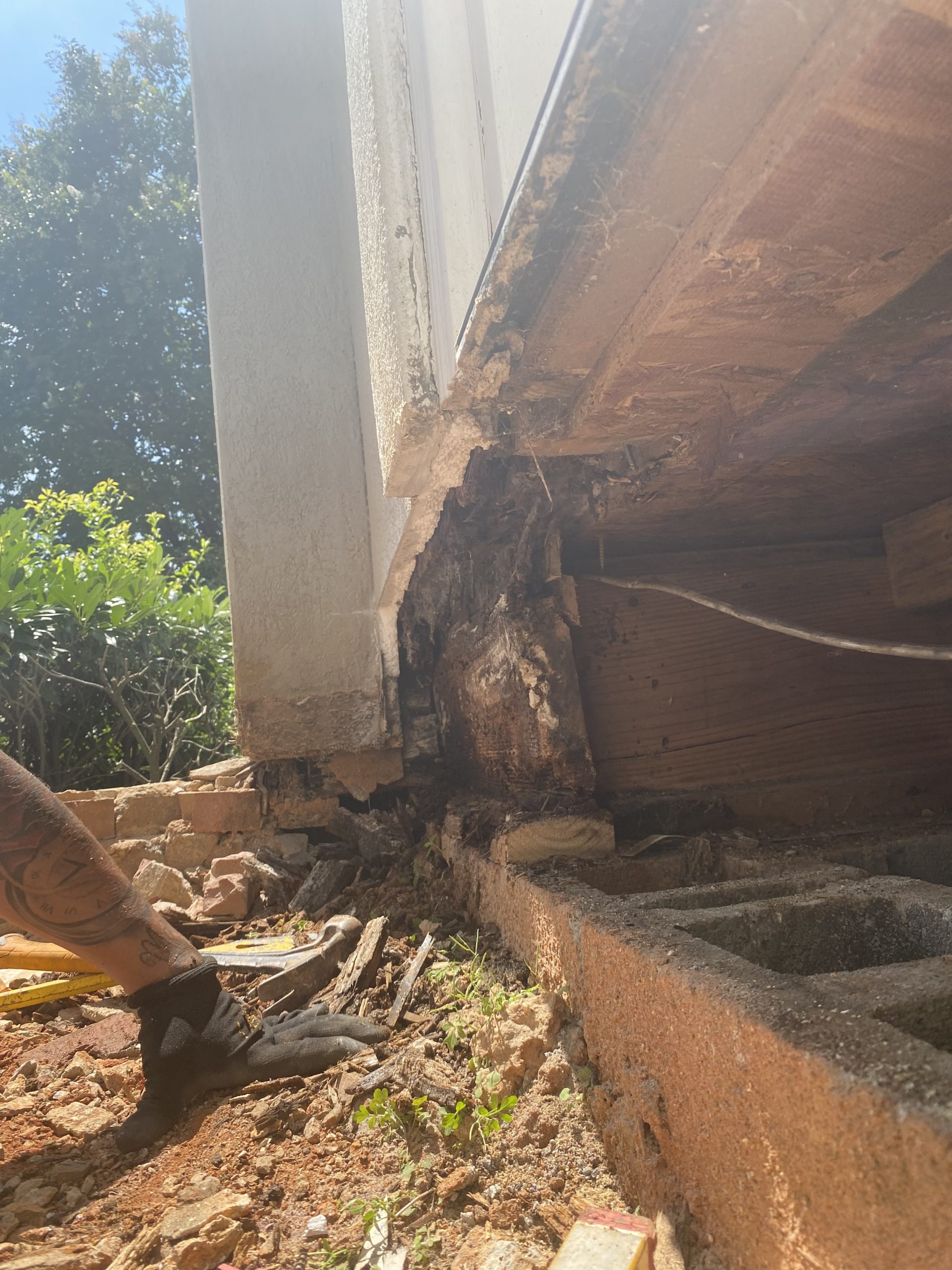 outside dry rot repair outside dry rot repair