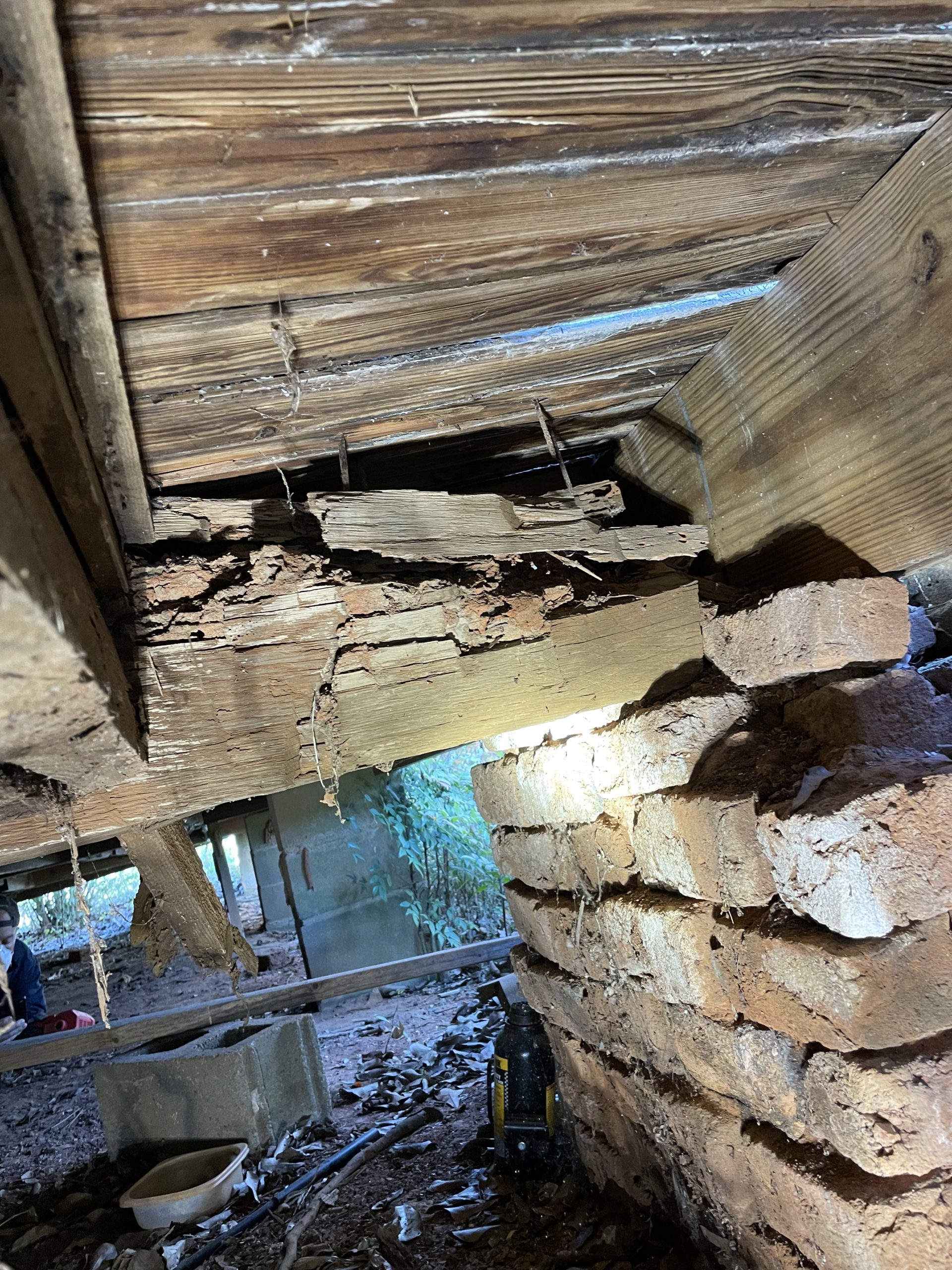 termite damage termite damage repair, free quote