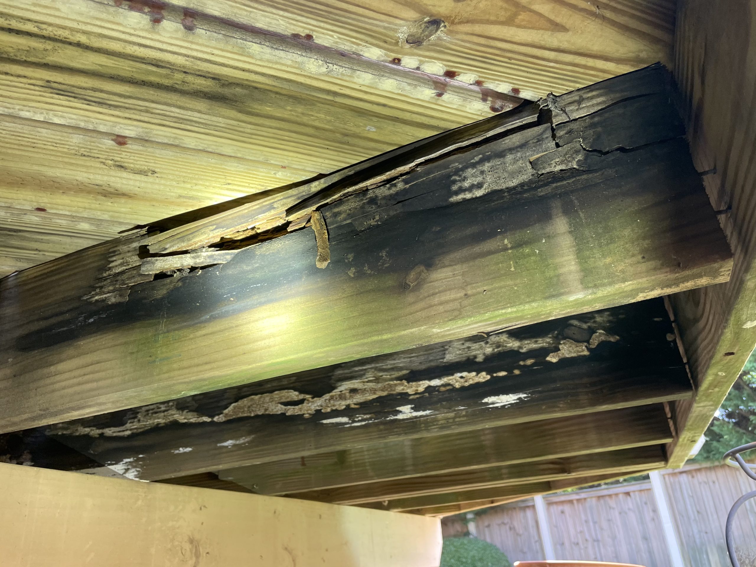 dry rot structural damage
