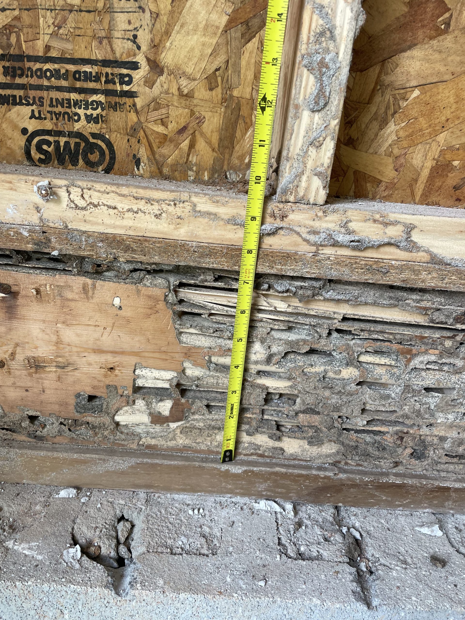 measured termite damage USR