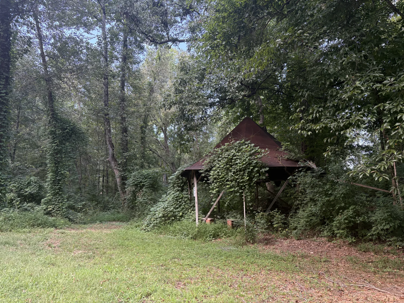 The overgrown spring house at Chick Springs, Taylors, SC